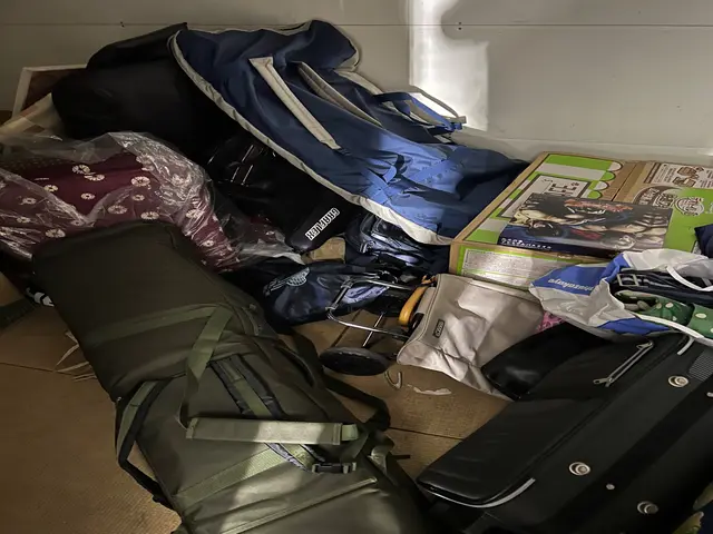 ���z���ł̕s�p�i���